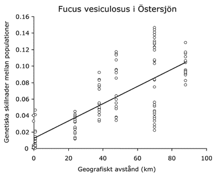 Fuscus genetisk distans